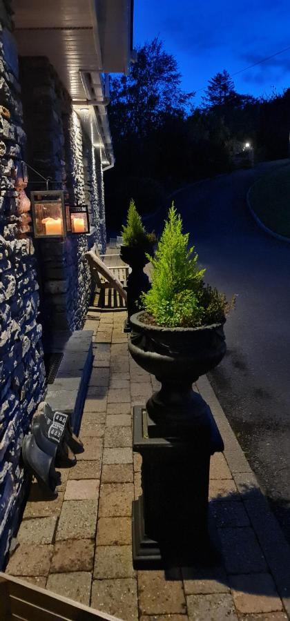 Kenmare Driftwood Bed & Breakfast Bagian luar foto