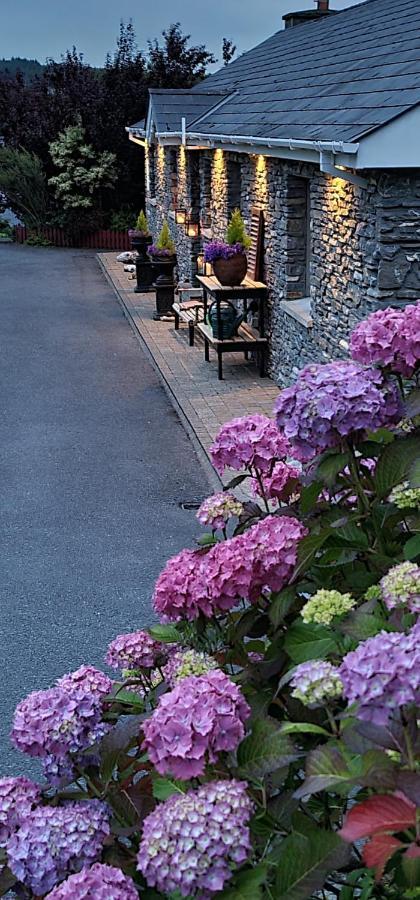 Kenmare Driftwood Bed & Breakfast Bagian luar foto