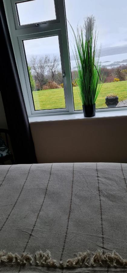 Kenmare Driftwood Bed & Breakfast Bagian luar foto